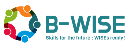B-WISE